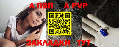 стаф Донской