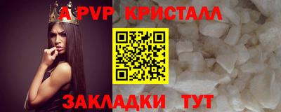 стаф Донской