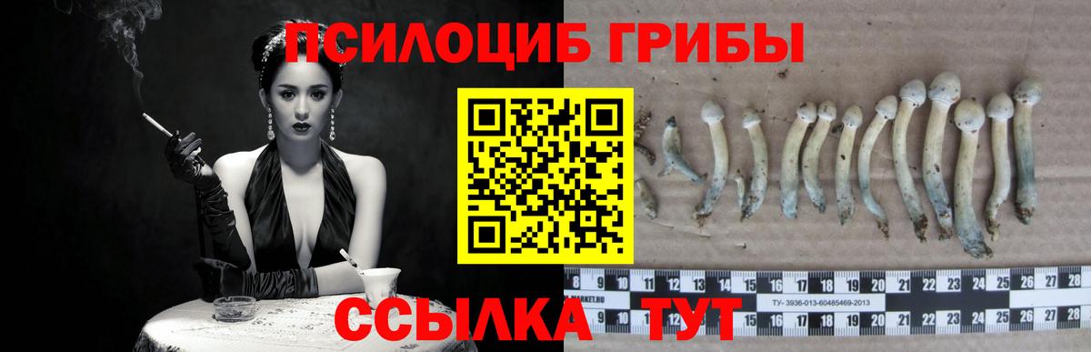 Псилоцибиновые грибы ЛСД Ливны